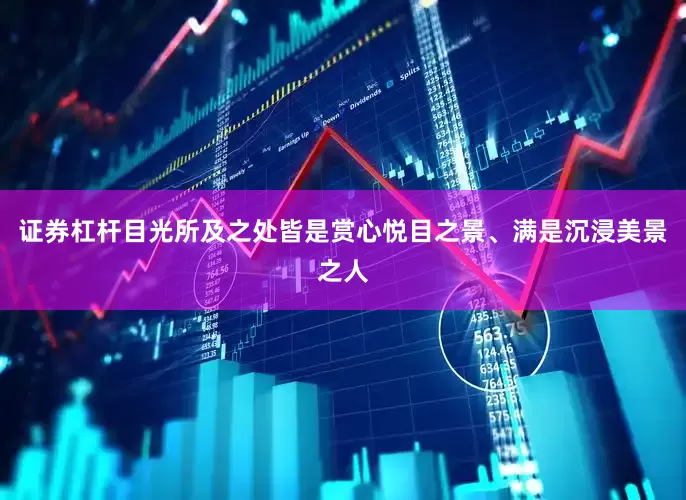证券杠杆目光所及之处皆是赏心悦目之景、满是沉浸美景之人