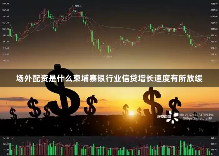 场外配资是什么柬埔寨银行业信贷增长速度有所放缓