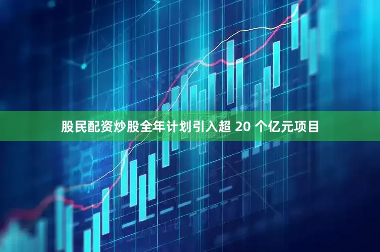 股民配资炒股全年计划引入超 20 个亿元项目