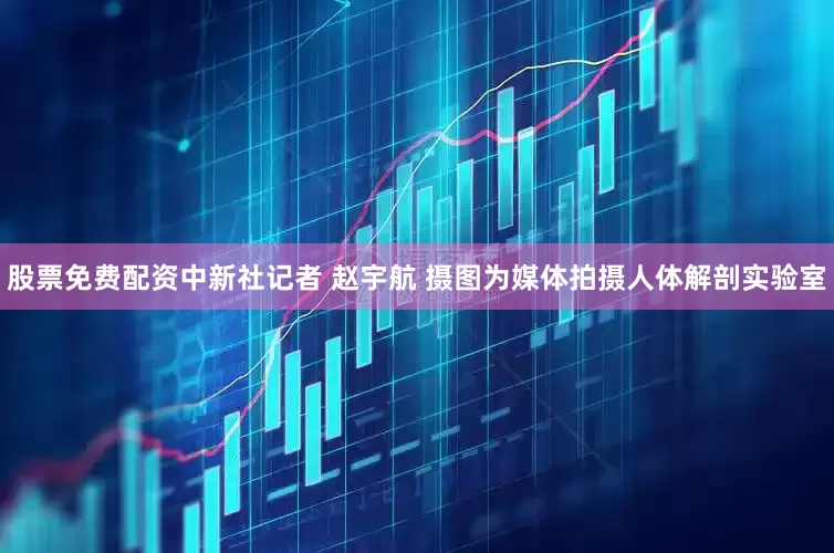 股票免费配资中新社记者 赵宇航 摄图为媒体拍摄人体解剖实验室