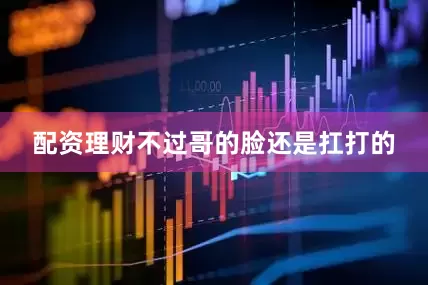 配资理财不过哥的脸还是扛打的