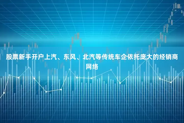 股票新手开户上汽、东风、北汽等传统车企依托庞大的经销商网络