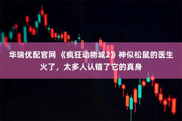 华瑞优配官网 《疯狂动物城2》神似松鼠的医生火了，太多人认错了它的真身